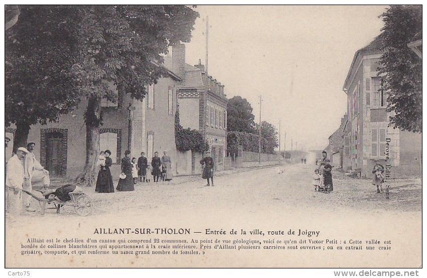 Aillant Sur Tholon 89 - Entrée Route De Joigny - Aillant Sur Tholon