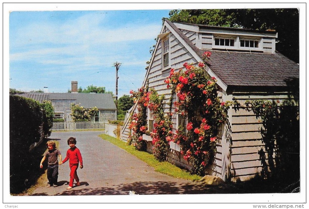 Cpsm: ETATS UNIS - USA - NANTUCKET ISLAND , Mass - Narrow Lanes Beautiful Roses. 1969  N° 1582 - Nantucket