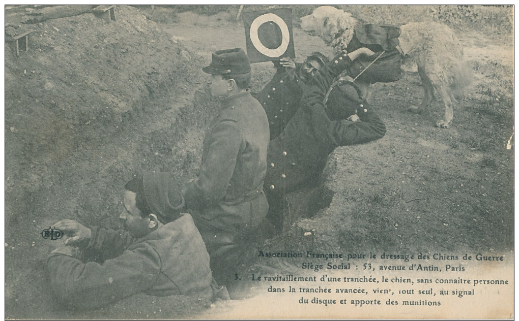 Association Française Pour Le Dressage Des Chiens De Guerre. Le Ravitaillement D'une Tranchée, Le Chien, ... - Personaggi