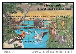 MINT NEVER HINGED MINI SHEET OF WILDLIFE & ANIMALS  ; BIRDS  ( GAMBIA   2596 - Autres & Non Classés