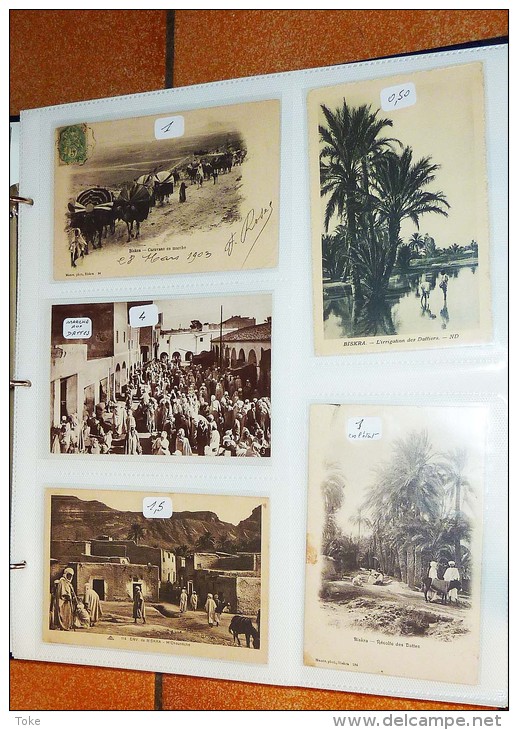 LOT 600 CPA ALGERIE COLLECTION en 3 ALBUMS  + Environ 200 Cpa en Vrac à Trier , soit presque 800 cartes