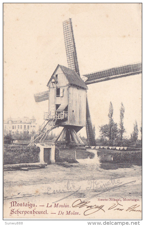 Montaigu - Scherpenheuvel -  De Molen - Le Moulin (Smets-Nihoul, 1904) - Scherpenheuvel-Zichem