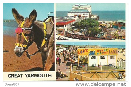 GREAT YARMOUTH - Britannia Pier-north Beach - Great Yarmouth