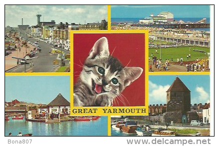GREAT YARMOUTH - Multivues (chaton) - Great Yarmouth