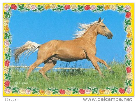 HORSES / PFERDE / CHEVAUX /  POSTCARD UNUSED     ( H  3666  / - Pferde