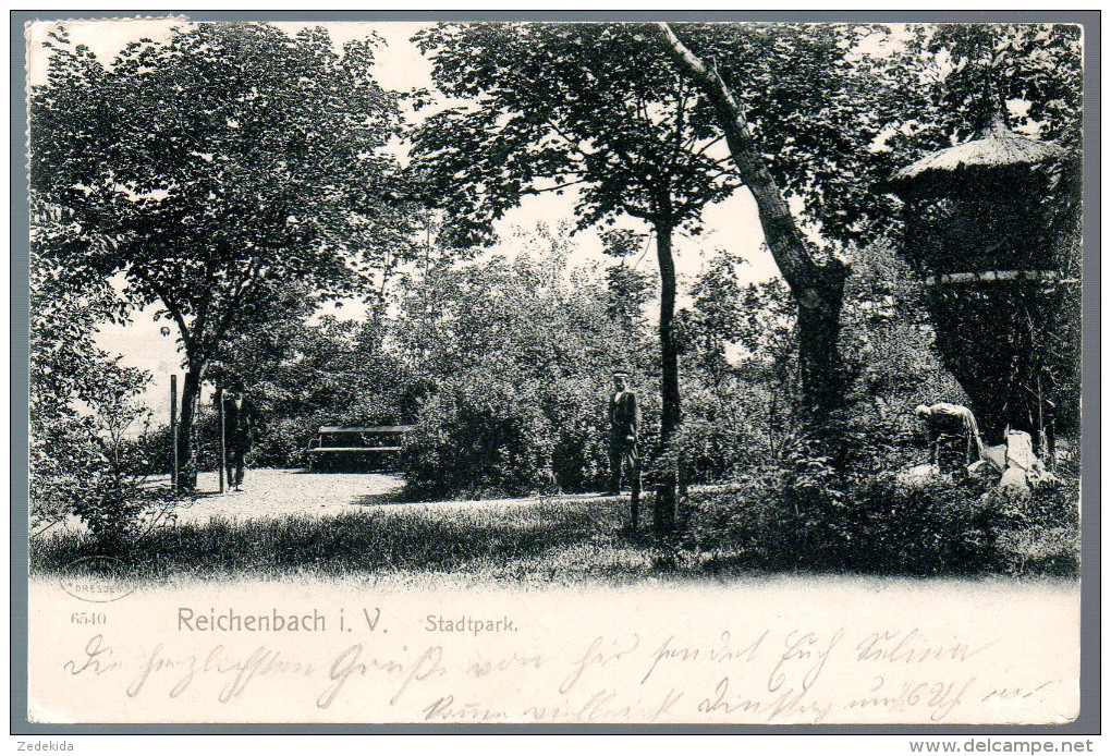 0172 - Ohne Porto - Alte Ansichtskarte Reichenbach I. V.  Stadtpark Gel 1905 - Reichenbach I. Vogtl.