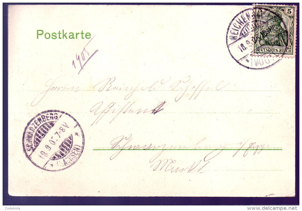 0172 - Ohne Porto - Alte Ansichtskarte Reichenbach I. V.  Stadtpark Gel 1905 - Reichenbach I. Vogtl.