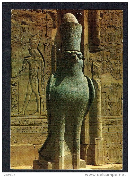 EGYPTE - EDFOU - Statue Du Dieu HORUS - NON Circulé - Not Circulated - Nicht Gelaufen. - Edfou
