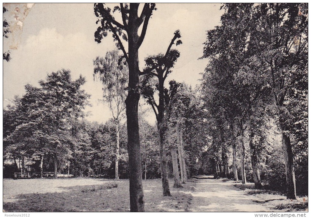 HEVERLEE : Zicht Op De Tuin - Oud-Heverlee