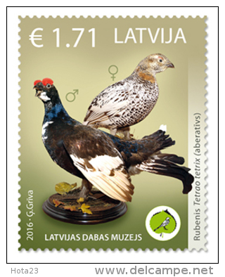 Latvian Natural History Museum Of The Unique Exhibits - Aberrant Birds, 2016  - MNH  STAMP - Latvia