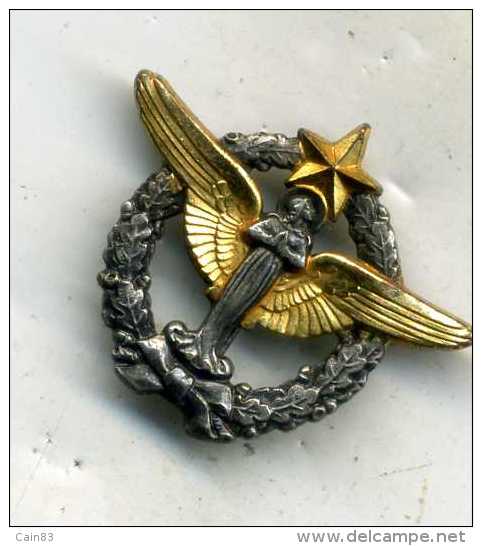 Insigne Pelerinage De Lourdes De L Armée De L Air__AB - Armée De L'air