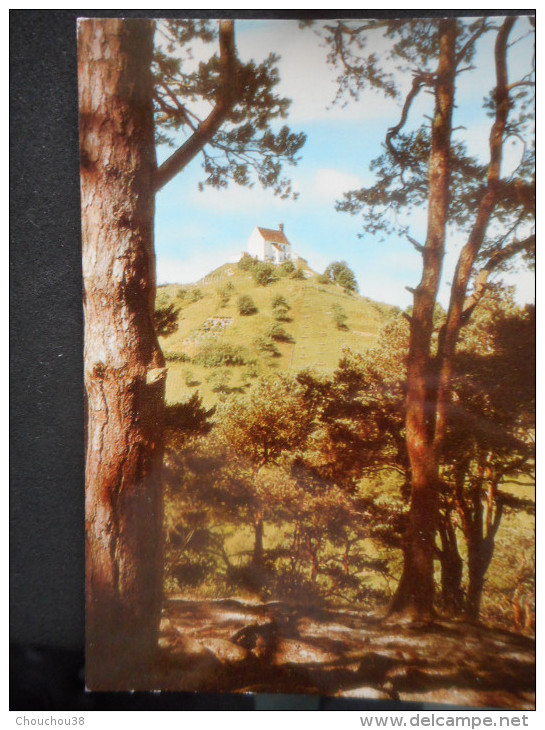 CPDM - ALLEMAGNE - Wurmlinger Bergkapelle - Zwischen TUBINGEN Und ROTTENBURG - Rottenburg