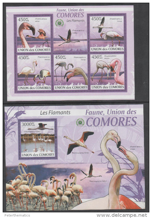 COMORES, 2009, MNH, BIRDS, FALMINGOES, SHEETLET+ S/SHEET - Flamants