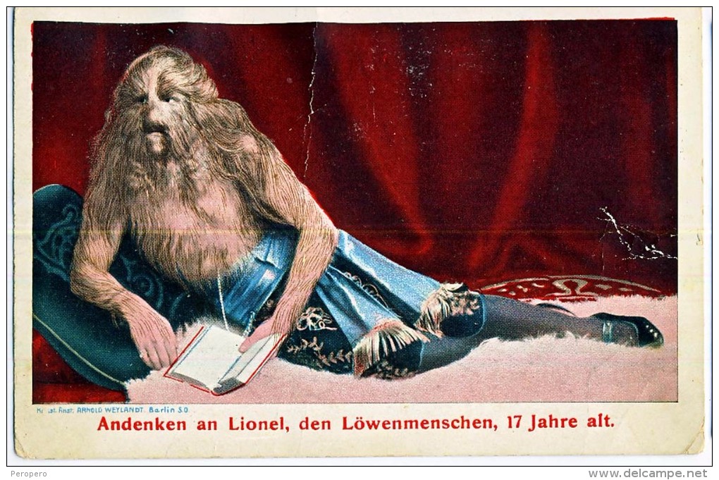 AK CIRCUS ZIRKUS ,ANDENKEN AN LIONEL ,DEN LÖWENMENSCHEN ,17 JAHRE ALT. Haarige Frauen,hairy WOMEN,gefalte Ansichtskarten - Zirkus