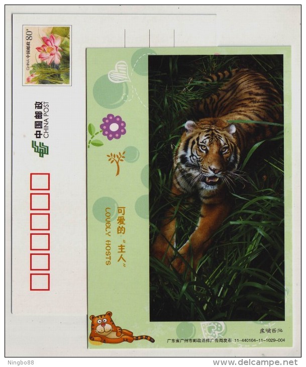 Tiger,China 2011 Guangzhou Zoo Lovely Hosts Animal Advertising Pre-stamped Card - Big Cats (cats Of Prey)