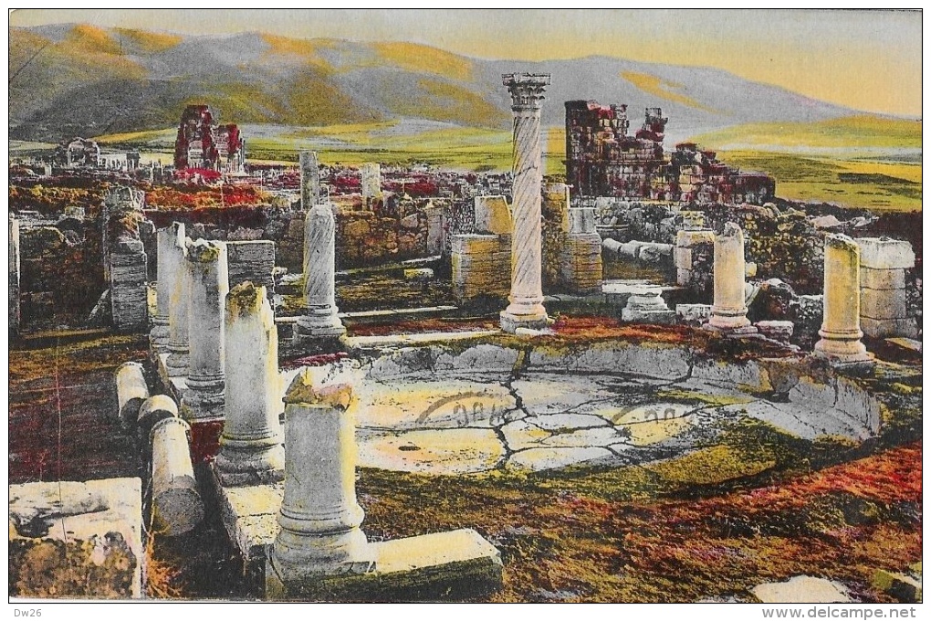 Volubilis - Vue D'ensemble Et Le Grand Bassin - Carte LL N°2 Colorisée - Meknès