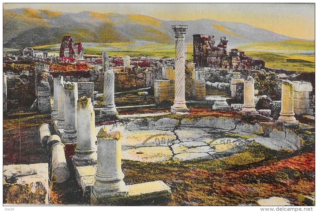 Volubilis - Vue D'ensemble Et Le Grand Bassin - Carte LL N°2 Colorisée - Meknes