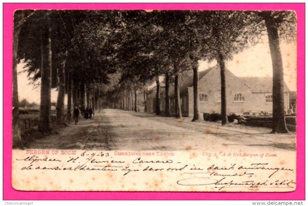 Bergen Op Zoom - Straatweg Naar Tholen - Animée - A.I.A. DE KOK - 1903 - Bergen Op Zoom