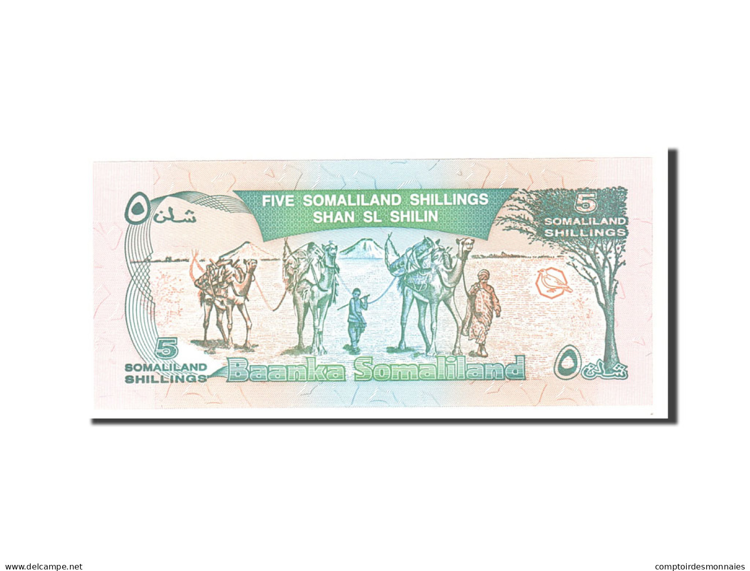 Billet, Somaliland, 5 Shillings = 5 Shilin, 1994, Undated, KM:1a, NEUF - Somalia