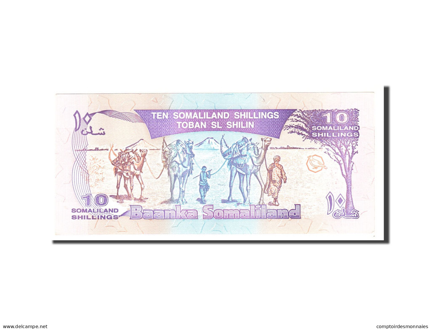 Billet, Somaliland, 10 Shillings = 10 Shilin, 1994, Undated, KM:2a, NEUF - Somalia