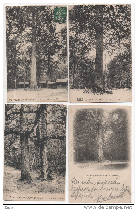 TH032/ Lot De 9 Cartes Thème Des Arbres - Foret De Fontainebleau - Arbres