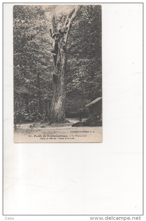 TH032/ Lot De 9 Cartes Thème Des Arbres - Foret De Fontainebleau - Arbres