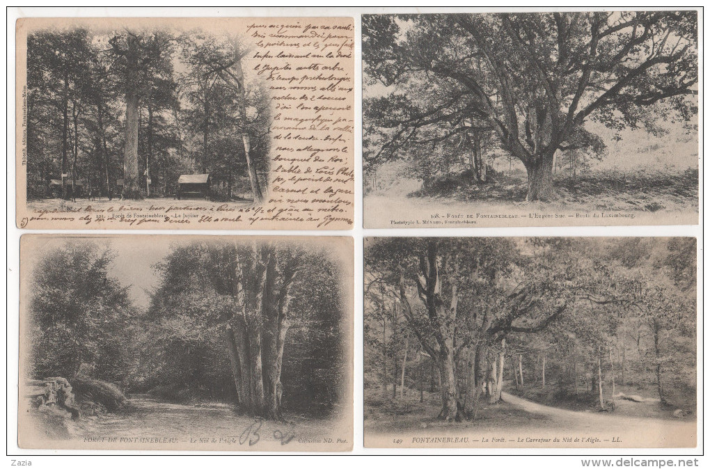 TH032/ Lot De 9 Cartes Thème Des Arbres - Foret De Fontainebleau - Arbres