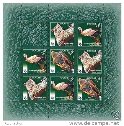 Russia 2007 Fauna Endangered Animals Stork Birds Mammals Leopard WWF W.W.F Sheetlet Stamps MNH Michel 1434-1436 - Collections, Lots & Series