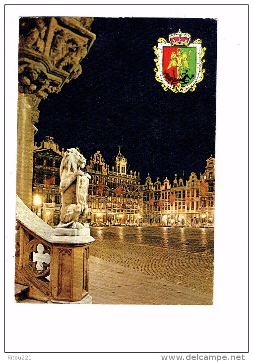 Belgique - Bruxelles La Nuit - Un Coin De La Place - Statue Lion - Blason - - Bruxelles La Nuit