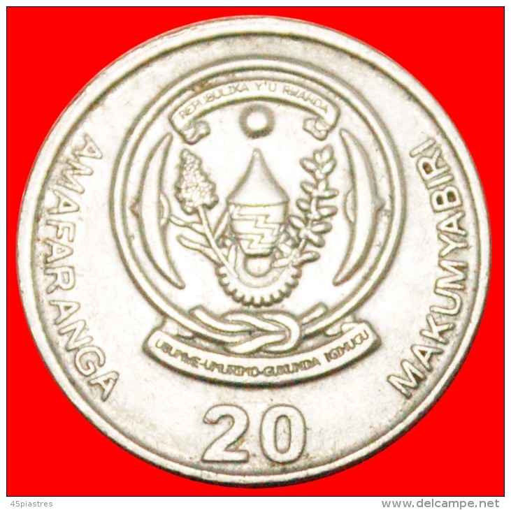 &#9733;TEA: RWANDA 20 FRANCS 2003! LOW START&#9733;NO RESERVE!!! Balboa (1475-1519) - Rwanda
