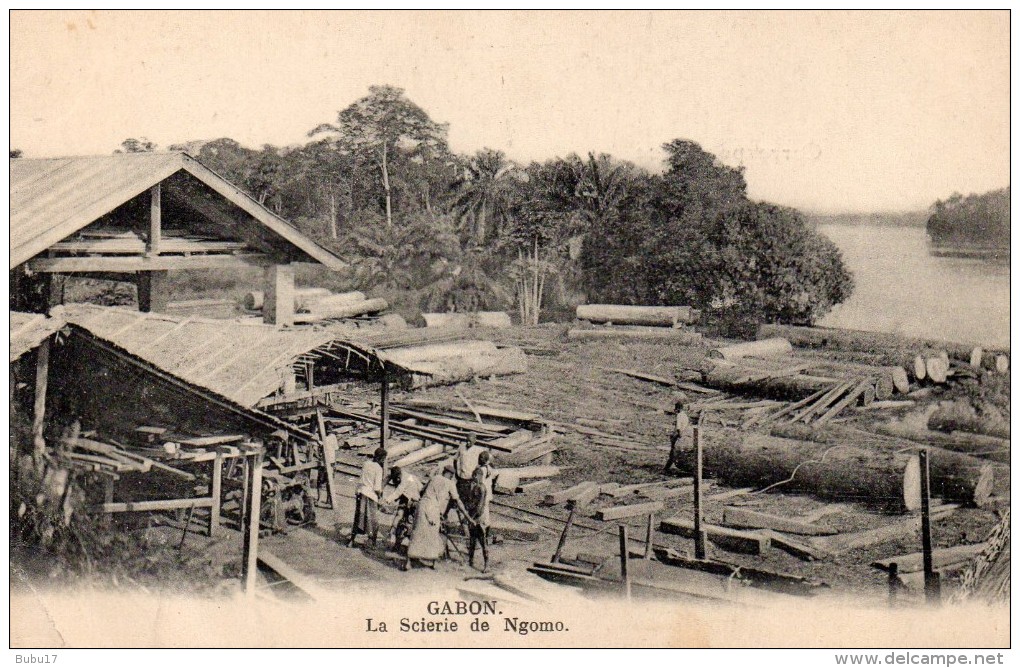 LA SCIERIE DE NGOMO - Gabón