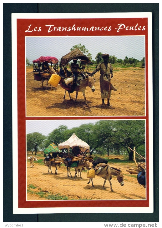 CAMEROON  -  Local Transport (Donkeys)  Unused Postcard - Cameroon