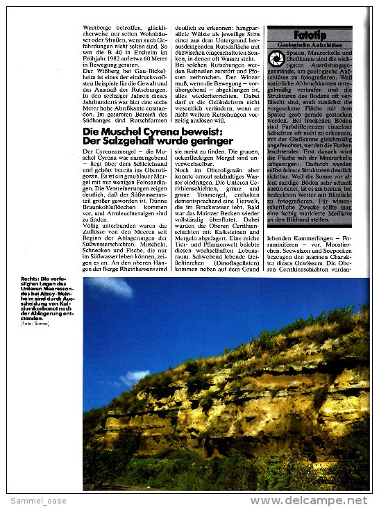 HB Bild-Atlas Bildband Naturmagazin Draußen  - Rheinhessen  -  Jeder Rebstock Eine Andere Sorte - Travel & Entertainment