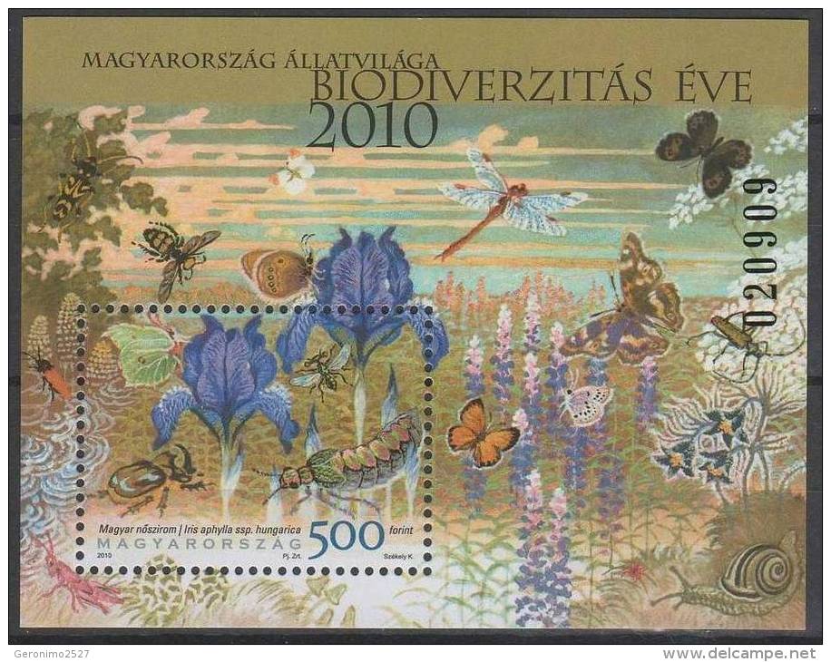 HUNGARY 2010 FAUNA Animals Of HUNGARY - Fine S/S MNH - Ongebruikt