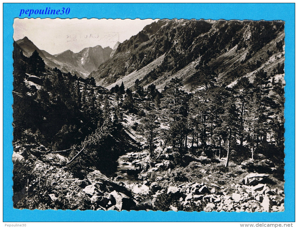 ** LE VIGNEMALE VU DU SENTIER DU LAC DE GAUBE (Hautes Pyrénées) ALTITUDE 1800 M. **.  // PHOTO VÉRITABLE - Aragnouet