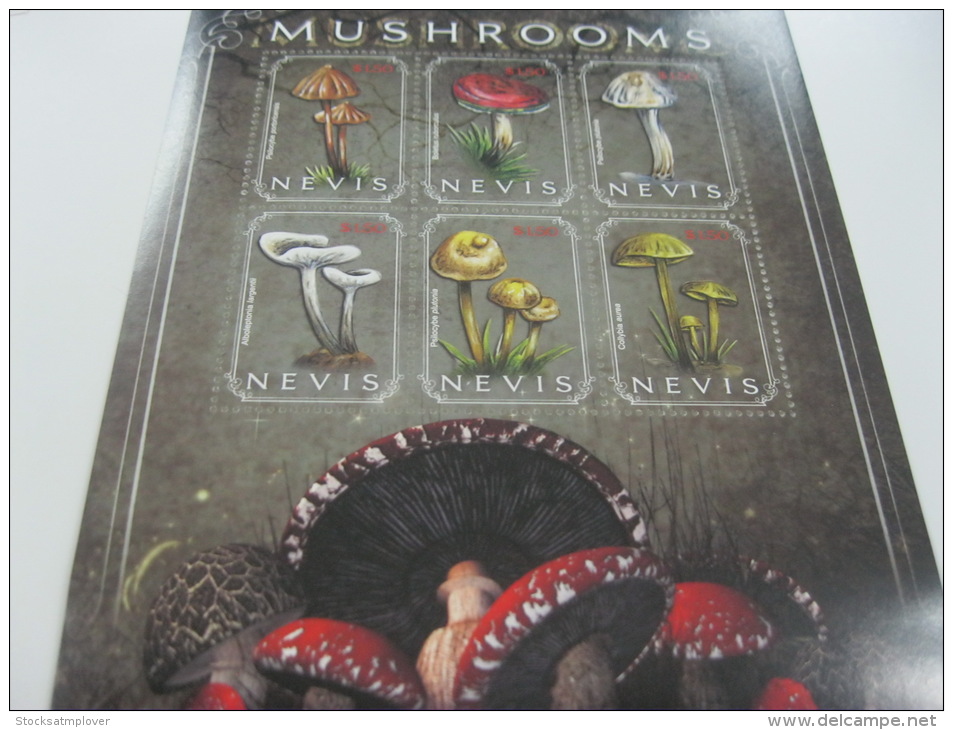 Nevis-Mushrooms - Champignons