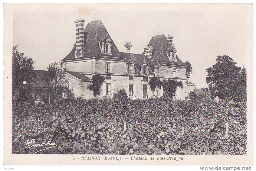 Ax - Cpa BLAISON - Château De Bois Brinçon - Other & Unclassified