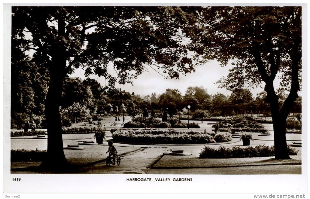 YORKS - HARROGATE - VALLEY GARDENS RP Y2827 - Harrogate