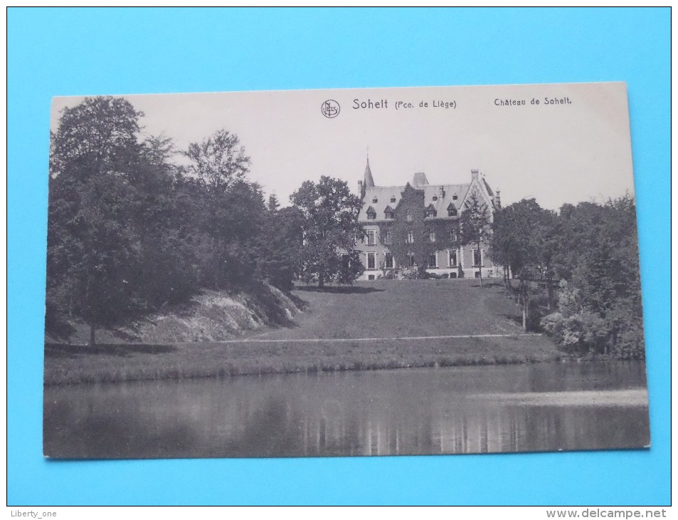 Château De SOHEIT ( Nels N° 90 ) Anno 19?? ( Zie Foto Details ) !! - Tinlot