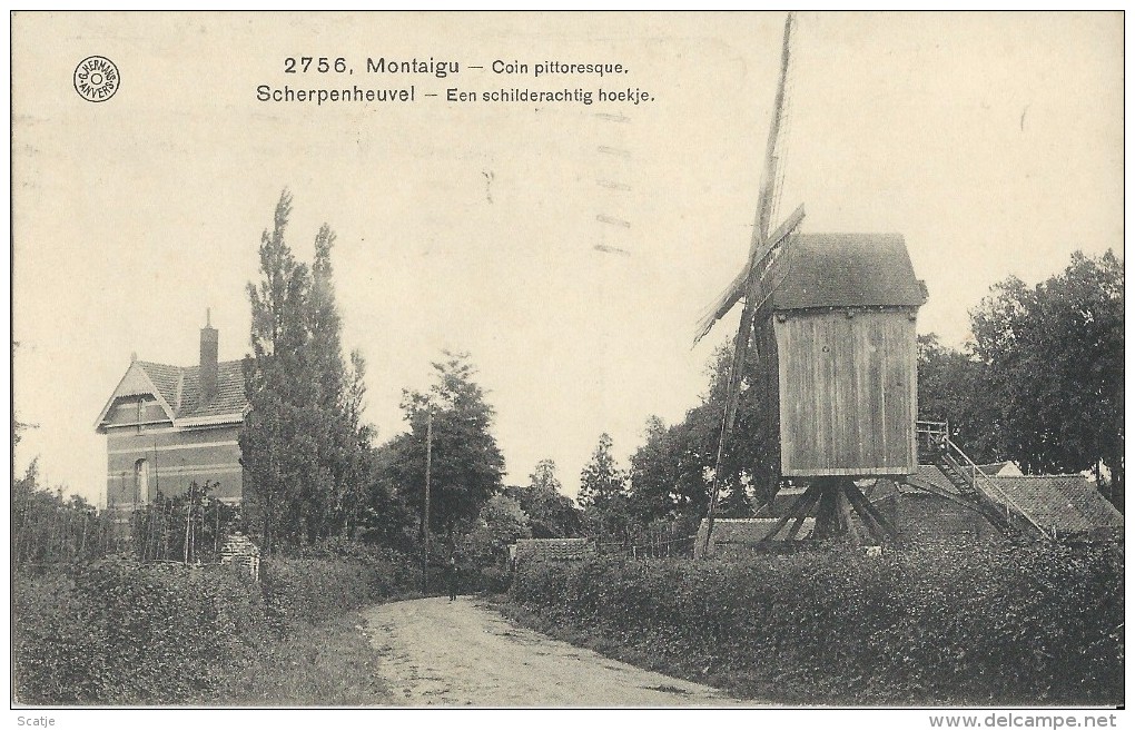 Montaigu  -   Coin Pittoresque;  TOPKAART! 1921  Naar  Viane DE MOLEN - Scherpenheuvel-Zichem