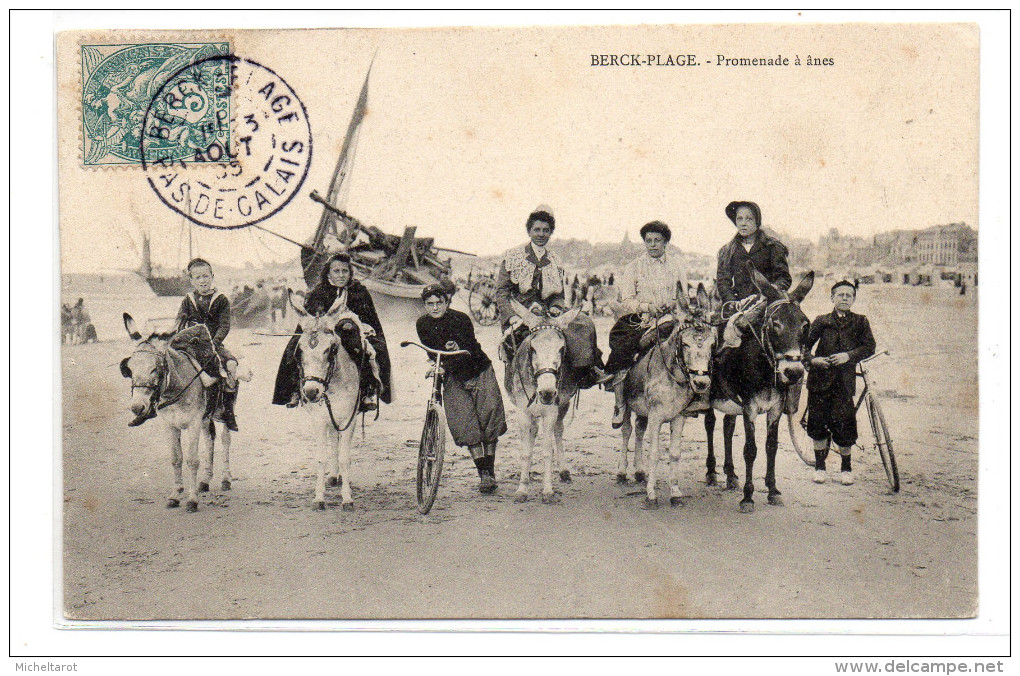 Pas-de-Calais : Berck : La Promenade à ânes - Berck