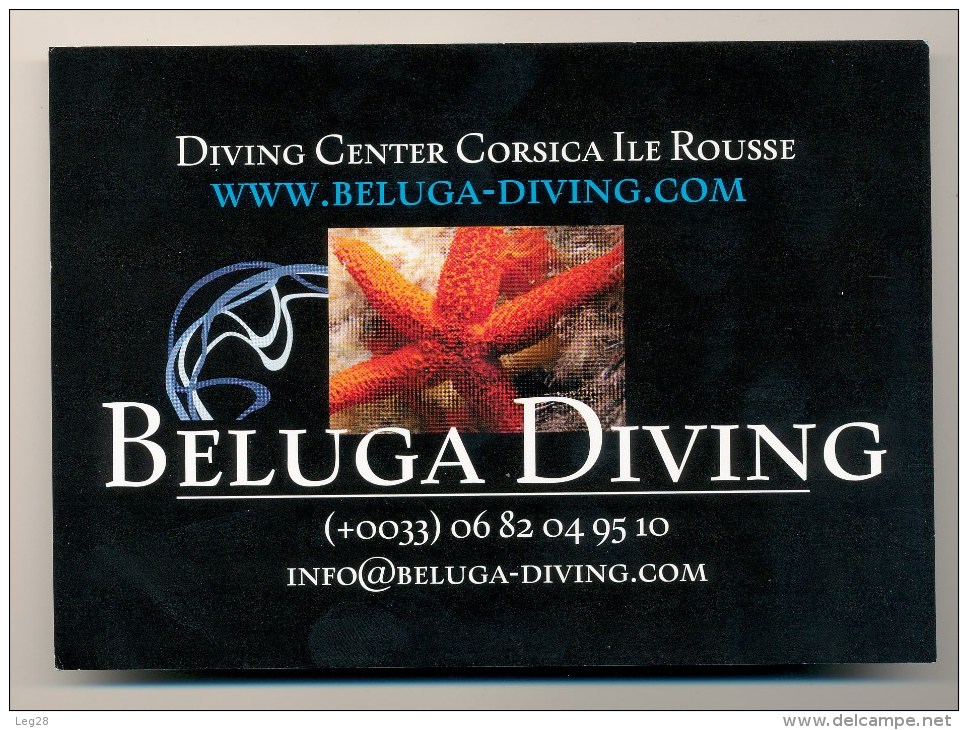 BELUGA DIVING - High Diving