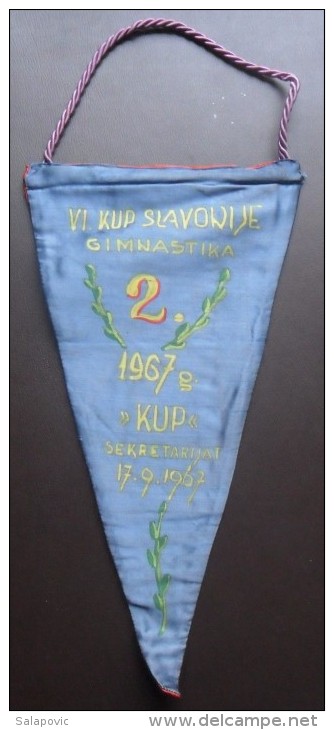 PENNANT GYMNASTICS VI KUP SLAVONIJE 1967 - Gymnastique