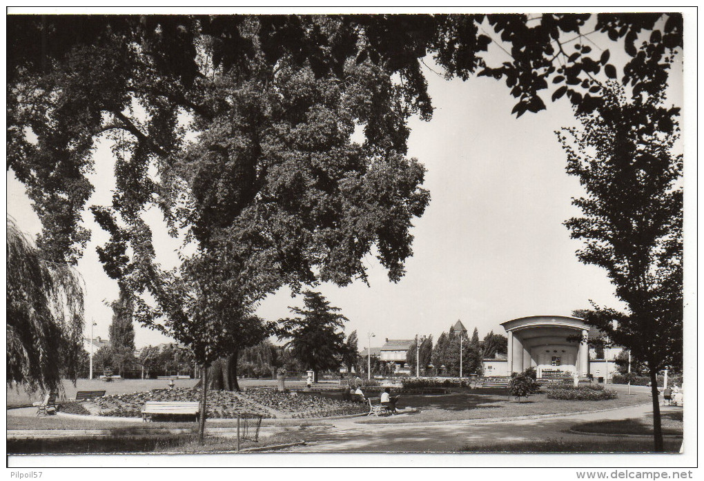 57 HAGONDANGE - Le Parc Municipal (carte Neuve) - Hagondange