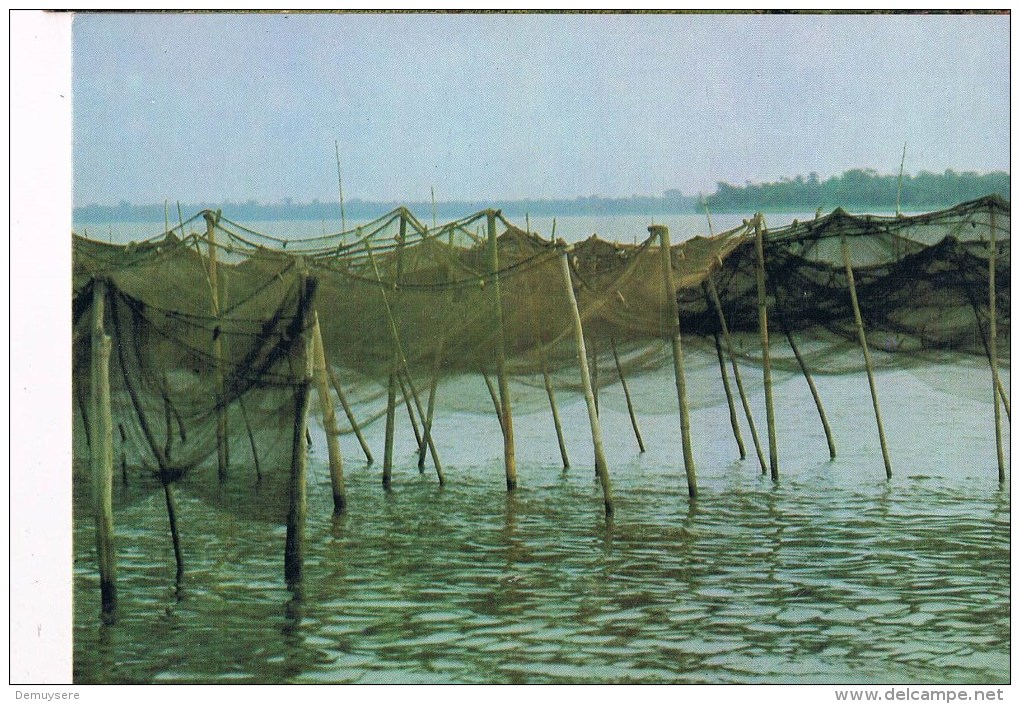 33801 ( 2 Scans ) Fishing Nets On Lagoon  Epe Lagos State - Nigeria