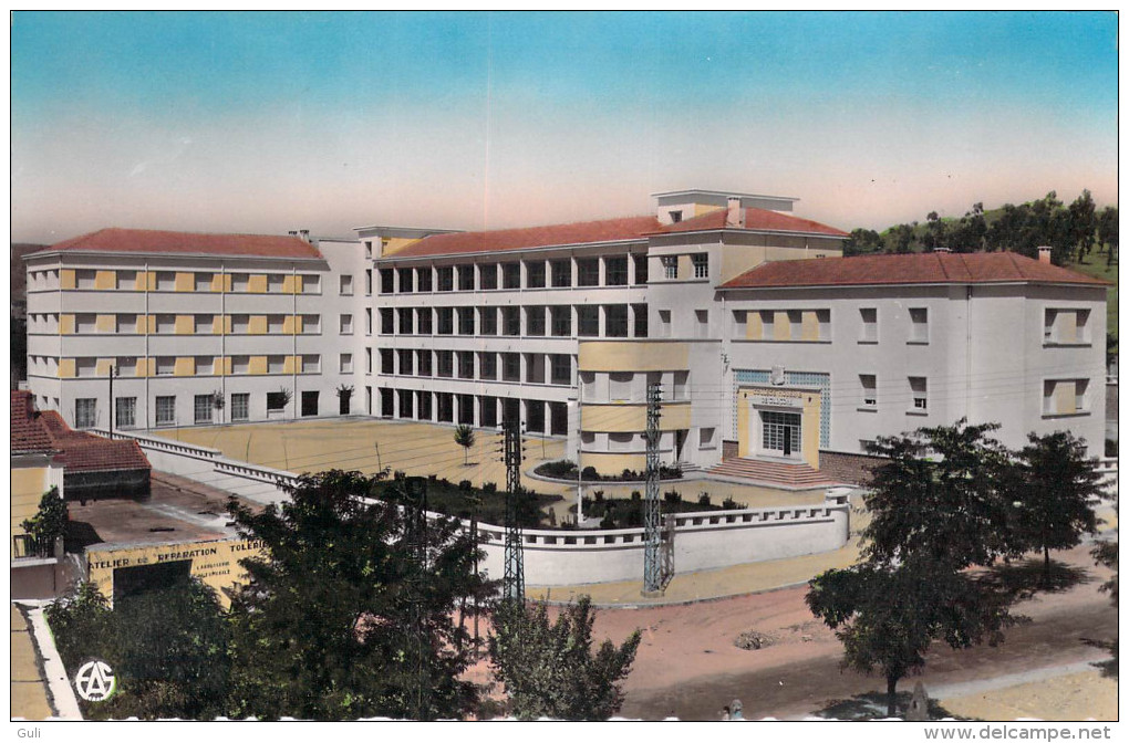 Afrique Algérie  TIARET Le Collège Moderne (Cpsm - Editions : Alexandre Sirecky  22)*PRIX FIXE - Tiaret