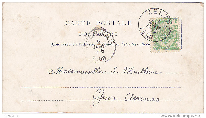 Château De Laerne (petit Format Découpé Par L'expéditeur 1900) - Laarne