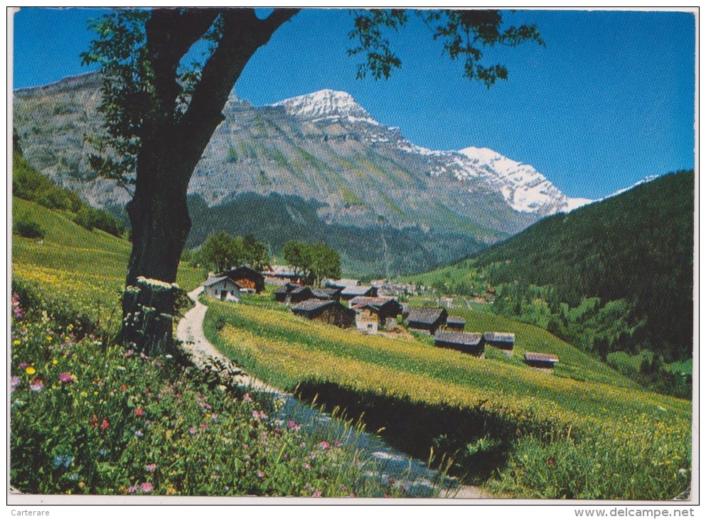 SUISSE,SWITZERLAND,SWISS, HELVETIA,SCHWEIZ,SVIZZERA ,VALAIS,LEUKERBAD-LOECHE LES BAINS,COL GEMMI,PHOTO KLOPFENSTEIN - Loèche