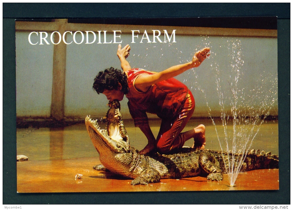 THAILAND  -  Samut Prakam  Crocodile Farm  Unused Postcard - Thailand