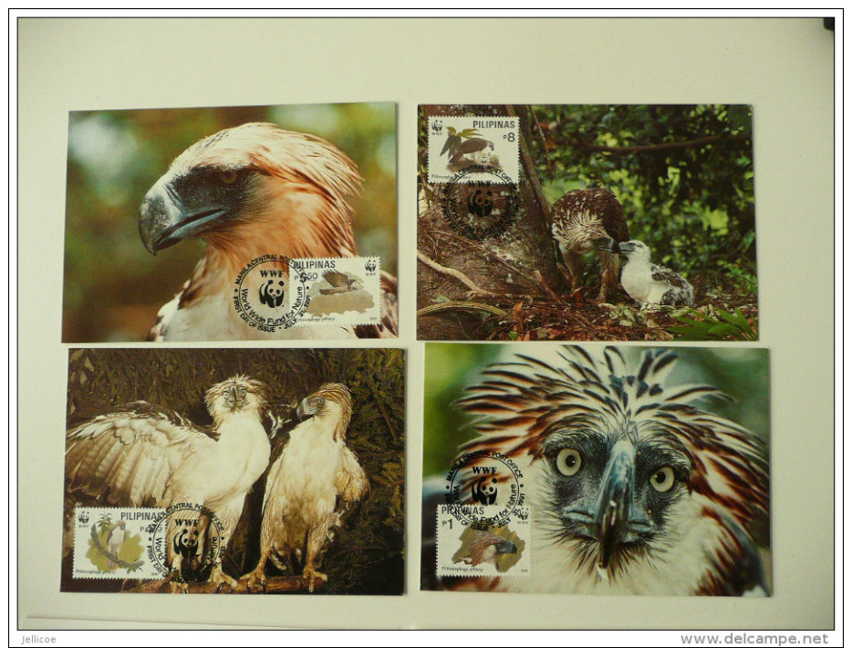 WWF Philippines Philippine Pilipinas Eagle Adler Birds Prey Greivögel 1991 4 CM MC MK Maxi Maximum Card Carte Maxicard - Maximumkarten